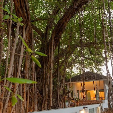 White Banyan Beach Villa, Candolim By The Acacia Villas Bagian luar foto