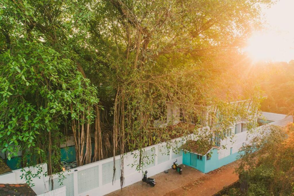 White Banyan Beach Villa, Candolim By The Acacia Villas Bagian luar foto